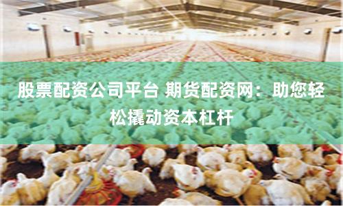 股票配资公司平台 期货配资网：助您轻松撬动资本杠杆