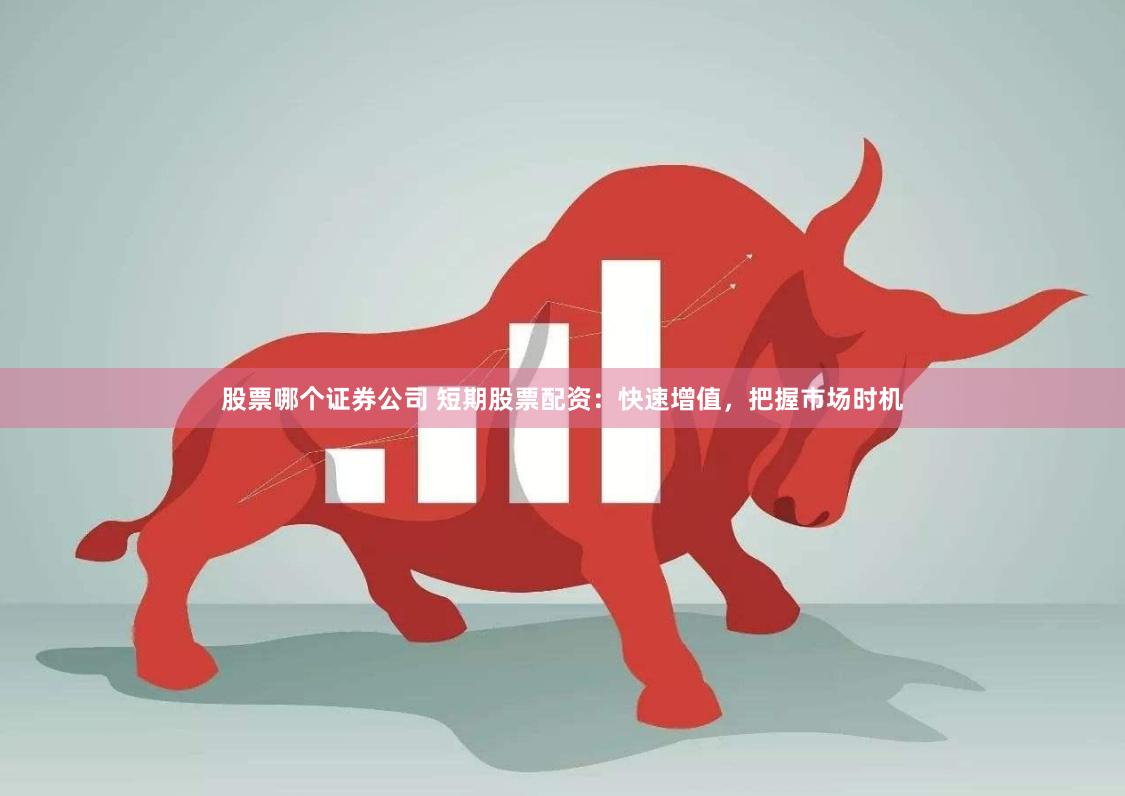 股票哪个证券公司 短期股票配资：快速增值，把握市场时机