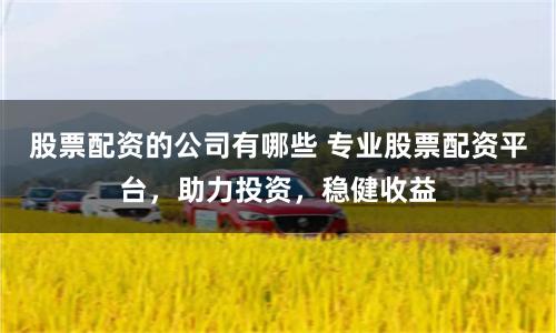 股票配资的公司有哪些 专业股票配资平台，助力投资，稳健收益