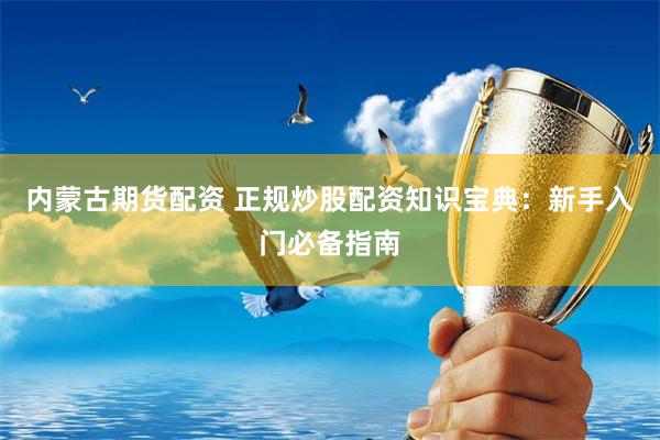 内蒙古期货配资 正规炒股配资知识宝典:新手入门必备指南