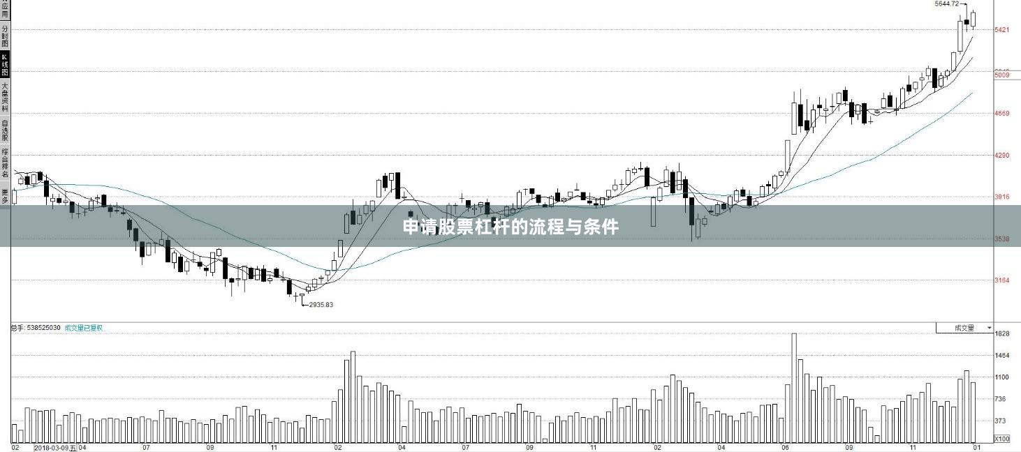 申请股票杠杆的流程与条件