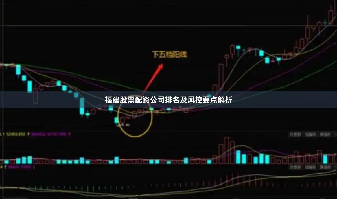 福建股票配资公司排名及风控要点解析